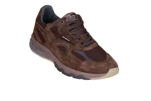 Floris van Bommel De Rezer 01.27 Taupe  (10258-34-02) - Caramel (Sint-Job-in-’t-Goor)