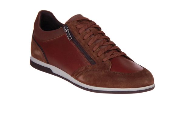 Geox Renan Browncotto  (U564GA-C6003) - Caramel (Sint-Job-in-’t-Goor)