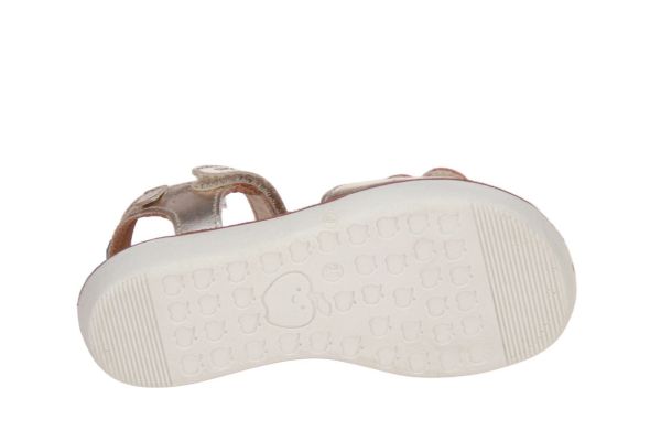 Shoo Pom Goa Easy Apple Platine Multi  (GOA EASY APPLE PLATINE MULTI) - Caramel (Sint-Job-in-’t-Goor)