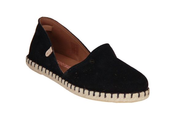 Verbenas Carmen Negro  (CARMEN-NEGRO) - Caramel (Sint-Job-in-’t-Goor)